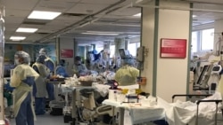 COVID-19 ကြောင့် ကန် မှာ မြန်မာနွယ်ဖွား အနည်းဆုံး တဒါဇင်ခန့် သေဆုံး COVID-19 ကြောင့် ကန် မှာ မြန်မာနွယ်ဖွား အနည်းဆုံး တဒါဇင်ခန့် သေဆုံး