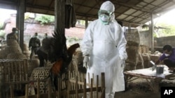 တရုတ်ဌက်တုတ်ကွေးစစ်ဆေးနေစဉ်။