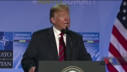 Заяви президента Трампа про НАТО – оцінки експертів. Відео Заяви президента Трампа про НАТО – оцінки експертів. Відео