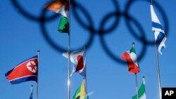 朝鲜国旗(左)与其他与会国家旗帜共同飘扬在韩国平昌冬奥会会场上空。(2018年2月1日)