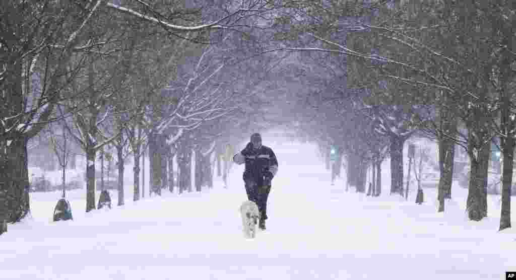 A pedestrian walks his dog in the median of Monument Avenue in Richmond, Virginia, Jan. 22, 2016.
