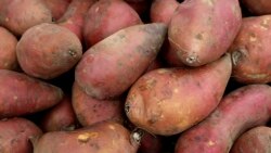 အင်္ဂါဂြိုလ်မှာ အာလူးစိုက်နိုင် အင်္ဂါဂြိုလ်မှာ အာလူးစိုက်နိုင်