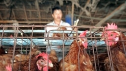 ထိုင်း အမျိုးသမီးရုပ်သံသတင်းထောက် အသရေဖျက်မှုနဲ့ ထောင် ၂ နှစ်ချမှတ်ခံရ ထိုင်း အမျိုးသမီးရုပ်သံသတင်းထောက် အသရေဖျက်မှုနဲ့ ထောင် ၂ နှစ်ချမှတ်ခံရ