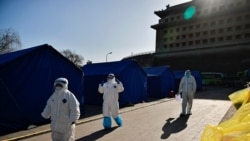 世卫疑与北京关系暧昧 武汉病毒溯源深不可测? 世卫疑与北京关系暧昧 武汉病毒溯源深不可测?