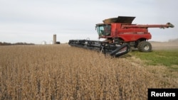资料照:美国印地安纳州霍根农场的收割机在收获大豆。(2019年11月8日)