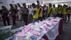 မြန်မာကလာတယ်လို့ယူဆရတဲ့ မူးယစ်ဆေးတွေ အင်ဒိုနီးရှားမှာဖမ်းမိ မြန်မာကလာတယ်လို့ယူဆရတဲ့ မူးယစ်ဆေးတွေ အင်ဒိုနီးရှားမှာဖမ်းမိ