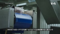 热搜解码:美国“肉荒”是资本主义惹的祸吗? 热搜解码:美国“肉荒”是资本主义惹的祸吗?