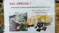 နိုင်ငံတကာဈေးကွက်ကို ထိုးဖောက်ဝင်ရောက်လာနေတဲ့ မြန်မာ့ ကော်ဖီများ နိုင်ငံတကာဈေးကွက်ကို ထိုးဖောက်ဝင်ရောက်လာနေတဲ့ မြန်မာ့ ကော်ဖီများ