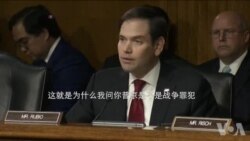 鲁比奥参议员在听证上向蒂勒森提问 鲁比奥参议员在听证上向蒂勒森提问