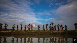 罗兴亚人2017年11月被迫逃亡孟加拉国(路透社)