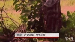 绿炭：对健康和环境更友好