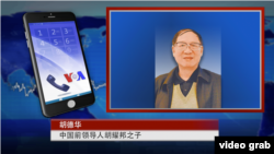 美国之音卫视介绍对胡德华的专访时所用的画面(2016年4月11日)