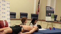 美议员:军队应停止使用动物训练医疗急救 美议员:军队应停止使用动物训练医疗急救