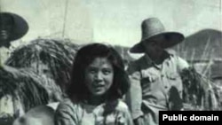 中国大跃进期间的照片显示人坐在密植的稻子上。当时各地竞相伪造粮食高产,种下大饥荒恶果。