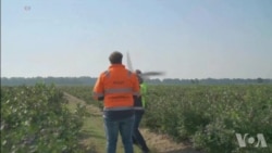 科技新闻:用机器鸟驱赶飞鸟 护卫航班飞行安全 科技新闻:用机器鸟驱赶飞鸟 护卫航班飞行安全