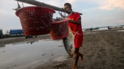 ရခိုင် ရမ်းဗြဲရေလုပ်သားတွေ AA မသင်္ကာနဲ့ ဖမ်းဆီးခံခဲ့ရ ရခိုင် ရမ်းဗြဲရေလုပ်သားတွေ AA မသင်္ကာနဲ့ ဖမ်းဆီးခံခဲ့ရ
