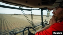 资料照:美国印地安纳州霍根农场的主人保罗·霍根在驾驶收割机收获大豆。(2019年11月8日)