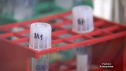 Що приховують виробники ГМО-продуктів? Що приховують виробники ГМО-продуктів?