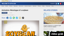 2018年7月20日,中国官方海外媒体CGTN发布了一段英文的动画视频《大豆的独白》(Monologue of a Soy Bean),以一个卡通大豆的口吻讲述美中贸易战对美国农业州的影响。(图为CGTN网站截屏,时间2018年7月20日下午2点。)