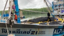 Thai Rescue Thai Rescue
