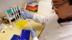 ဗိုင်းရပ်စ် နဲ့ ဘက်တီးရီးယား ဗိုင်းရပ်စ် နဲ့ ဘက်တီးရီးယား