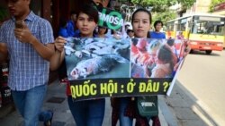 Việt Nam tiếp tục đàn áp biểu tình vụ cá chết Việt Nam tiếp tục đàn áp biểu tình vụ cá chết