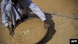 ФАО: Між груднем і січнем у світі зросли ціни на харчові товари