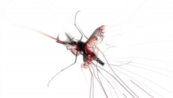 သွေးလွန်တုပ်ကွေးအတွက် ဆေးရုံတင်သင့်ချိန် သွေးလွန်တုပ်ကွေးအတွက် ဆေးရုံတင်သင့်ချိန်