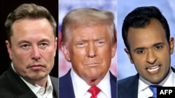 马斯克、特兰普和拉马斯瓦米(合成照片)