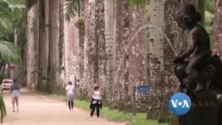 လေ့လာစရာတွေများလှတဲ့ ရုက္ခဗေဒဥယျာဉ်ကြီး လေ့လာစရာတွေများလှတဲ့ ရုက္ခဗေဒဥယျာဉ်ကြီး