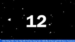 Cú ‘đạp gió rẽ sóng’ ngoạn mục của ông Trump cho thấy những gì? Cú ‘đạp gió rẽ sóng’ ngoạn mục của ông Trump cho thấy những gì?