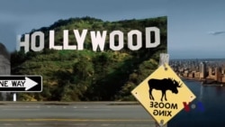 走进美国:留美中国学生变身网络媒体人 走进美国:留美中国学生变身网络媒体人