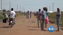 ဆူဒန် Hashaba ဒုက္ခသည်စခန်းက ဆေးခန်း ဆူဒန် Hashaba ဒုက္ခသည်စခန်းက ဆေးခန်း