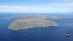 Американський острів у Беренговій протоці: чим займаються мешканці острова та чому інколи їх обстріляють з боку Росії? Відео