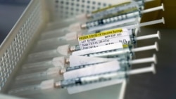 时事大家谈:新冠变体 未来抗疫又遇到哪些新挑战? 时事大家谈:新冠变体 未来抗疫又遇到哪些新挑战?