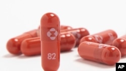 资料照片:默克公司提供的没注明日期的照片显示该公司的新抗病毒口服药molnupiravir。