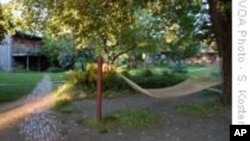 维吉尼亚的一个理念村:共享资源 分担责任