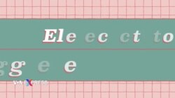 Giải mã sự khác biệt giữa phiếu bầu phổ thông và Đại cử tri đoàn  Giải mã sự khác biệt giữa phiếu bầu phổ thông và Đại cử tri đoàn