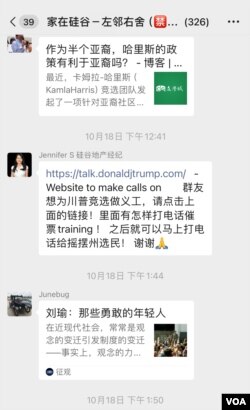 在旧金山湾区的地产经纪人周石群(Jennifer S)作群主的微信群里,她和群友们作为转发和粘贴美国大选相关的信息。(周石群提供)