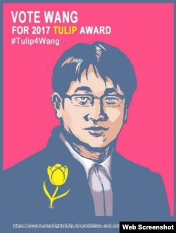 网友制作的支持王全璋海报 (网络图片)