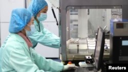 位于云南昆明的中国华大基因集团实验室的科技人员在工作。(2018年12月26日)