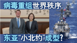 海峡论谈:病毒重组世界秩序 东亚"小北约"成型? 海峡论谈:病毒重组世界秩序 东亚"小北约"成型?