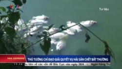 Thảm hoạ Formosa bị ‘loại’ khỏi 10 sự kiện môi trường nổi bật năm 2016 Thảm hoạ Formosa bị ‘loại’ khỏi 10 sự kiện môi trường nổi bật năm 2016