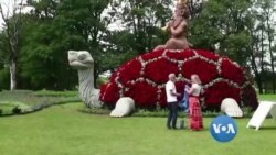 စိတ်ကူးယဉ် ပန်းပွဲတော် စိတ်ကူးယဉ် ပန်းပွဲတော်