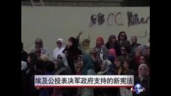埃及公投表决军政府支持的新宪法 埃及公投表决军政府支持的新宪法