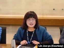 台湾东南亚与南亚协会理事长林若雩(林若雩提供)