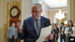 美国国会参议院多数党领袖查克·舒默(Chuck Schumer)。(美联社资料图)