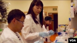 金海翎与研究团队(美国之音国符拍摄)