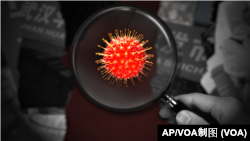 2021新冠病毒溯源:趋势大逆转 源头仍是谜