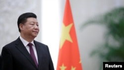 中国国家主席习近平在北京人民大会堂。(2018年12月10日)